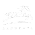 Lazord34